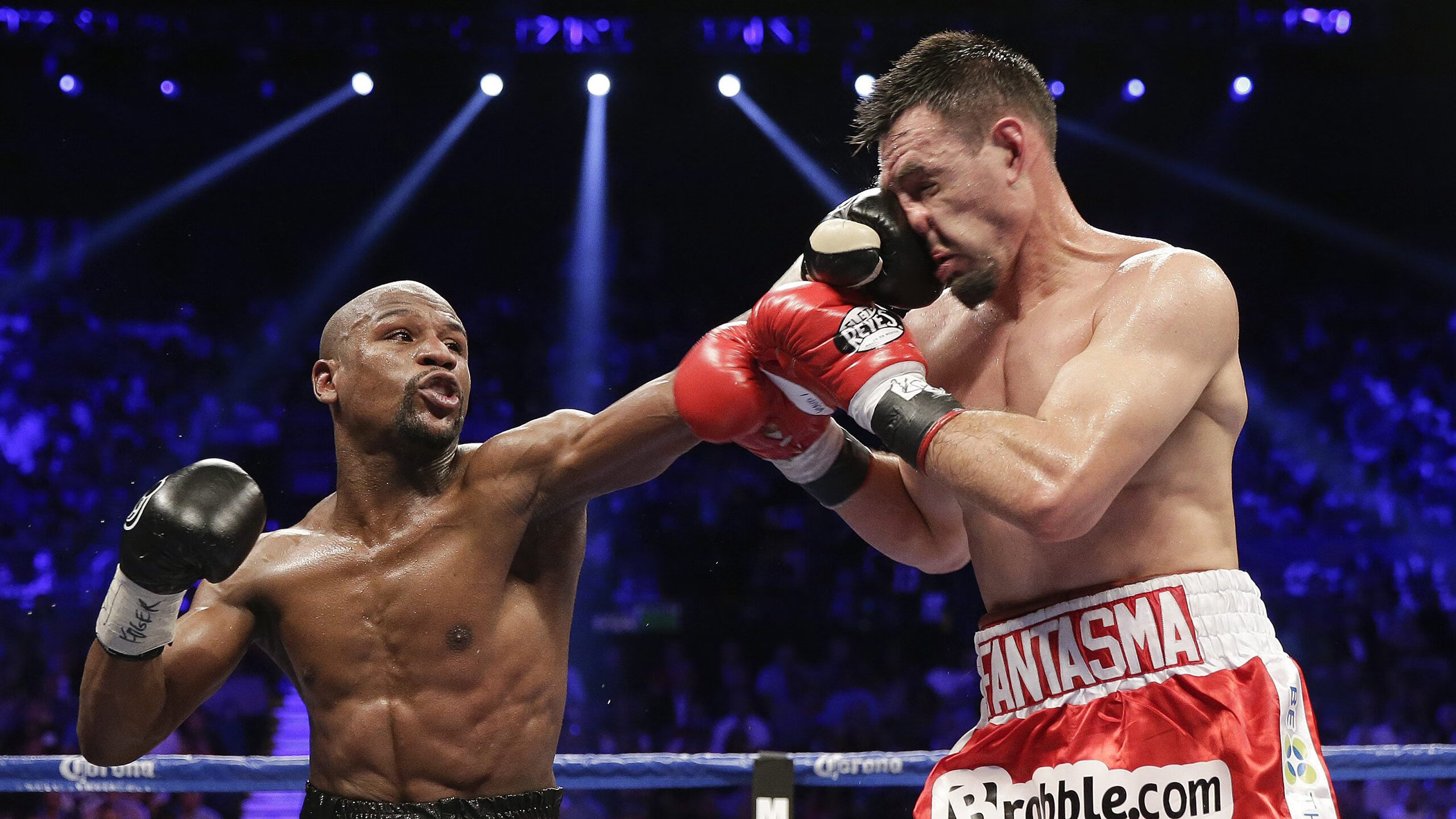 世界乒乓球赛事人气持续攀升,世界乒乓球赛2021